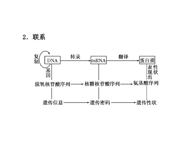 考点精讲9遗传的分子基础（教案）_新高考复习资料_2022年新高考复习资料_2022届一轮复习讲练结合7.13更新_系列二_考点精讲9遗传的分子基础