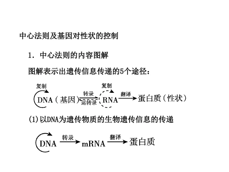 考点精讲9遗传的分子基础（教案）_新高考复习资料_2022年新高考复习资料_2022届一轮复习讲练结合7.13更新_系列二_考点精讲9遗传的分子基础