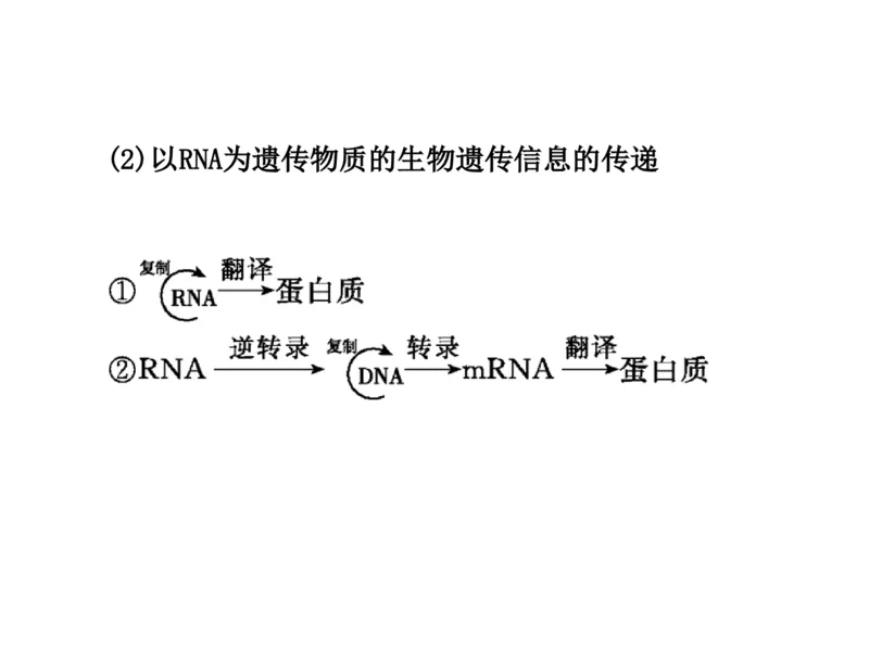 考点精讲9遗传的分子基础（教案）_新高考复习资料_2022年新高考复习资料_2022届一轮复习讲练结合7.13更新_系列二_考点精讲9遗传的分子基础
