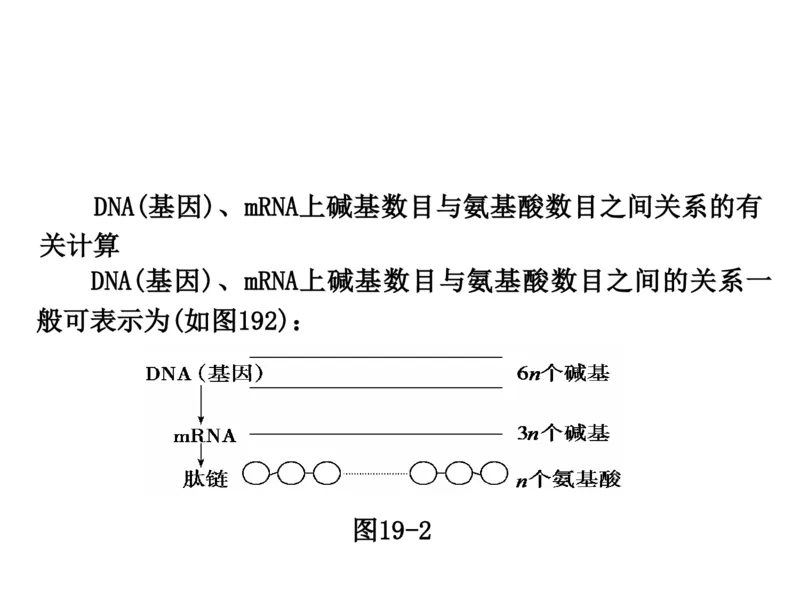 考点精讲9遗传的分子基础（教案）_新高考复习资料_2022年新高考复习资料_2022届一轮复习讲练结合7.13更新_系列二_考点精讲9遗传的分子基础