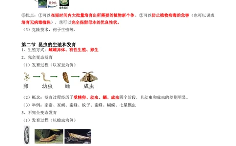 专题19生物的生殖和发育-2022年中考生物一轮复习抓重点考典型（人教版）（解析版）_6生物中考复习_2023年中考复习资料_一轮复习_2022年中考生物一轮复习抓重点考典型（人教版）