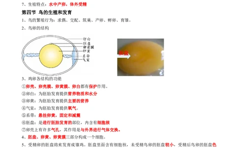 专题19生物的生殖和发育-2022年中考生物一轮复习抓重点考典型（人教版）（解析版）_6生物中考复习_2023年中考复习资料_一轮复习_2022年中考生物一轮复习抓重点考典型（人教版）