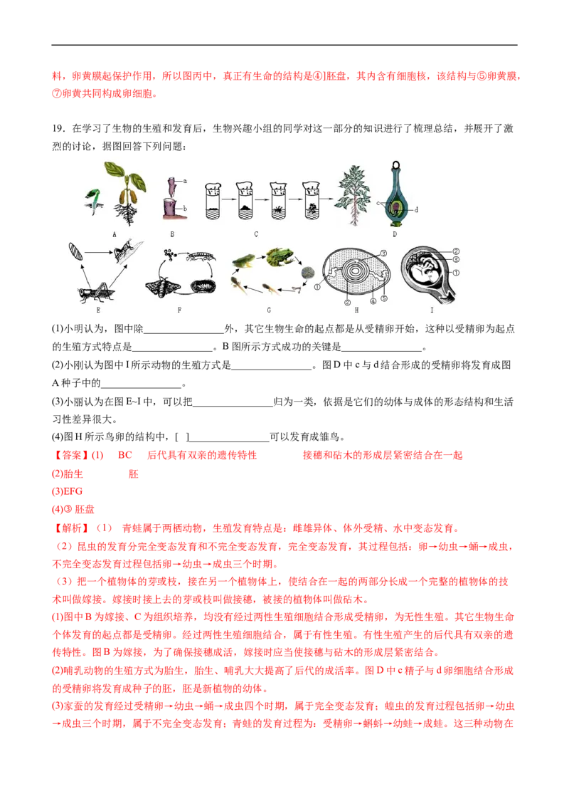 专题19生物的生殖和发育-2022年中考生物一轮复习抓重点考典型（人教版）（解析版）_6生物中考复习_2023年中考复习资料_一轮复习_2022年中考生物一轮复习抓重点考典型（人教版）