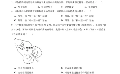人教版2023届中考一轮复习专用训练卷&mdash;专题8绿色植物是生物圈中有机物的制造者（含解析）_6生物中考复习_2023年中考复习资料_一轮复习