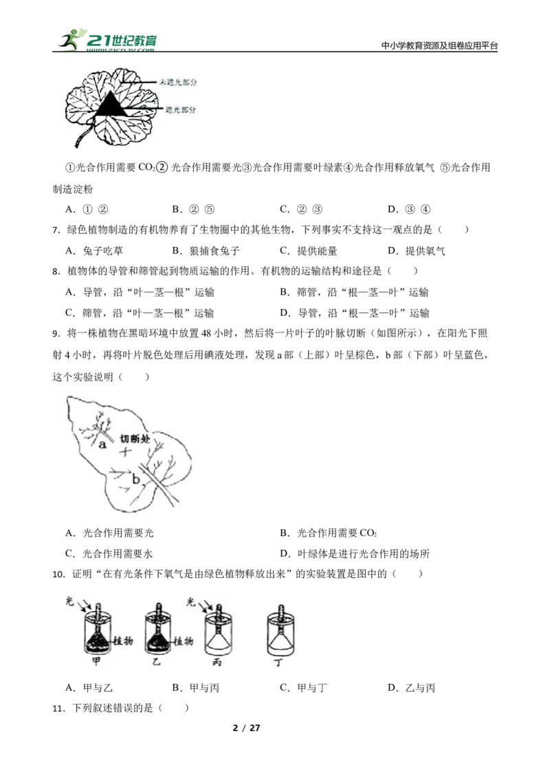 人教版2023届中考一轮复习专用训练卷&mdash;专题8绿色植物是生物圈中有机物的制造者（含解析）_6生物中考复习_2023年中考复习资料_一轮复习