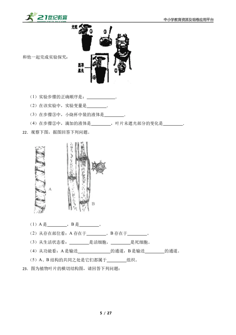 人教版2023届中考一轮复习专用训练卷&mdash;专题8绿色植物是生物圈中有机物的制造者（含解析）_6生物中考复习_2023年中考复习资料_一轮复习