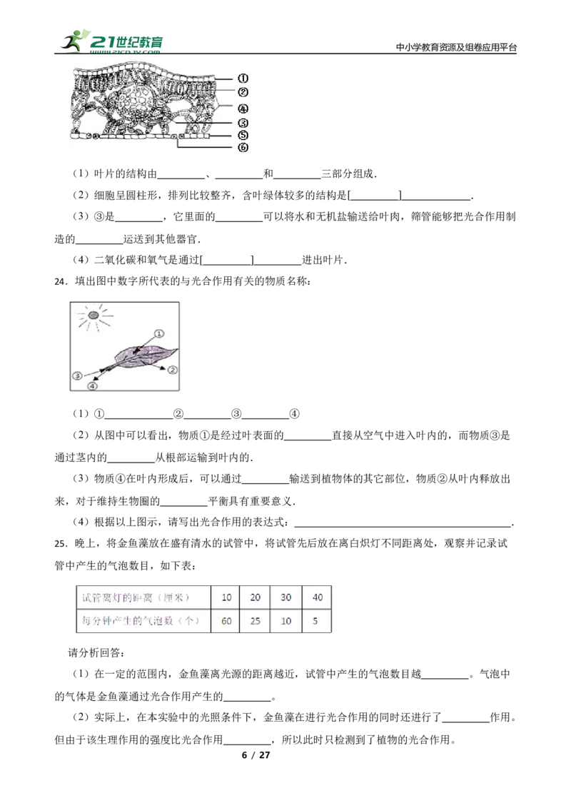 人教版2023届中考一轮复习专用训练卷&mdash;专题8绿色植物是生物圈中有机物的制造者（含解析）_6生物中考复习_2023年中考复习资料_一轮复习