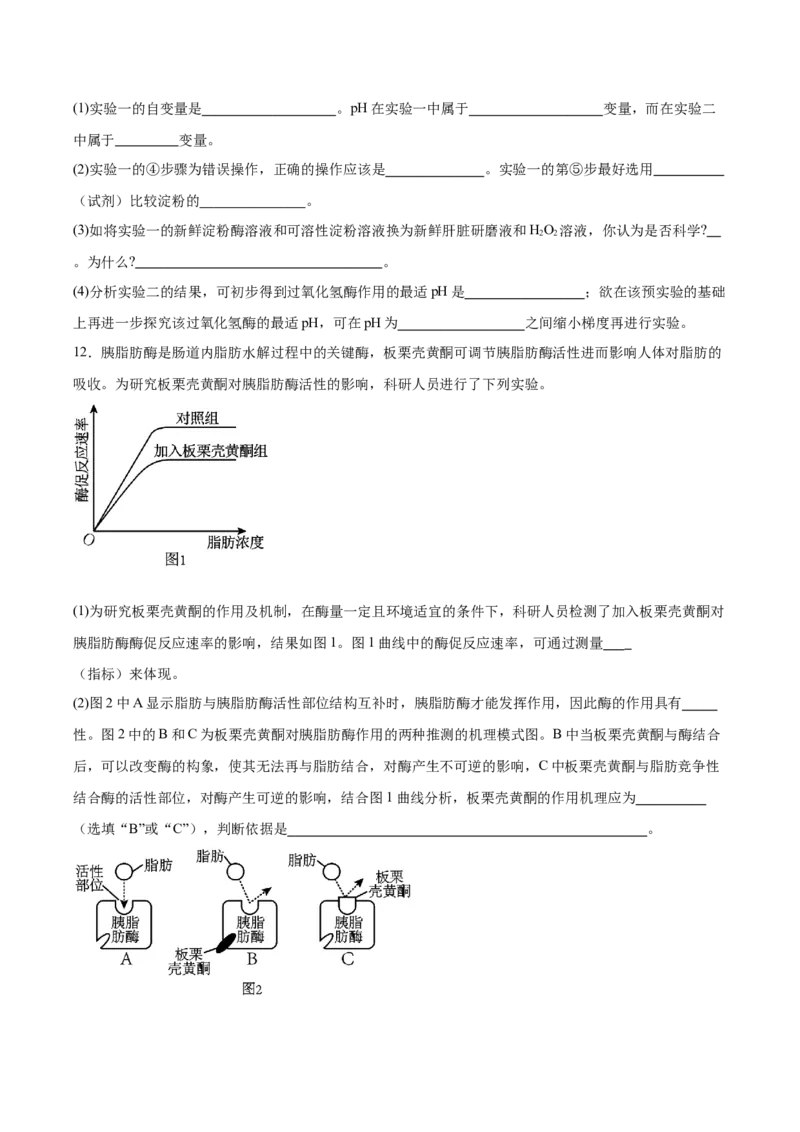 考点通关卷08酶和ATP（原卷版）_新高考复习资料_2025年新高考资料_2025年高考生物一轮复习考点通关卷（新高考通用）