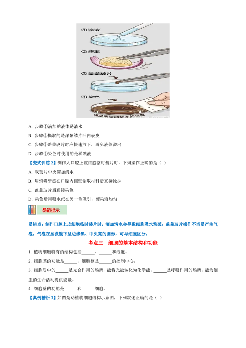 名师导航专题02细胞是生命活动的基本单位--2026年中考生物一轮复习学案（原卷版）_6生物中考复习_2026年中考复习（更新中）_2026年中考生物一轮复习学案（原版卷+解析版）