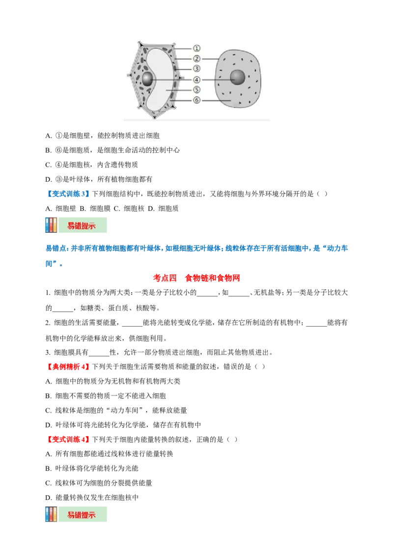 名师导航专题02细胞是生命活动的基本单位--2026年中考生物一轮复习学案（原卷版）_6生物中考复习_2026年中考复习（更新中）_2026年中考生物一轮复习学案（原版卷+解析版）