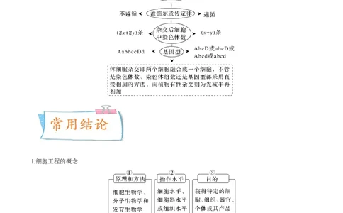 考向27细胞工程-备战2023年高考生物一轮复习考点微专题（全国通用）（原卷版）(1)_通用版（老高考）复习资料_2023年复习资料_一轮复习