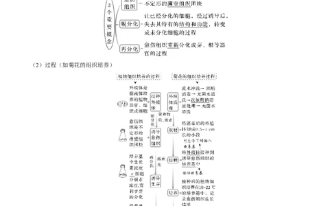 考向27细胞工程-备战2023年高考生物一轮复习考点微专题（全国通用）（原卷版）(1)_通用版（老高考）复习资料_2023年复习资料_一轮复习