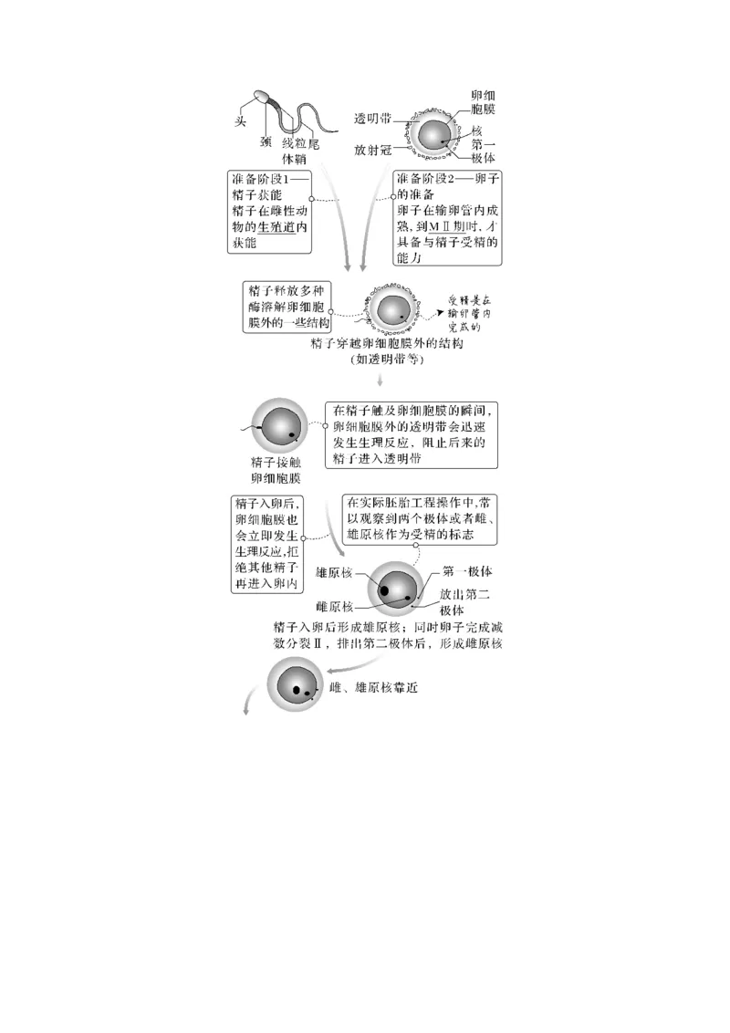 考向27细胞工程-备战2023年高考生物一轮复习考点微专题（全国通用）（原卷版）(1)_通用版（老高考）复习资料_2023年复习资料_一轮复习