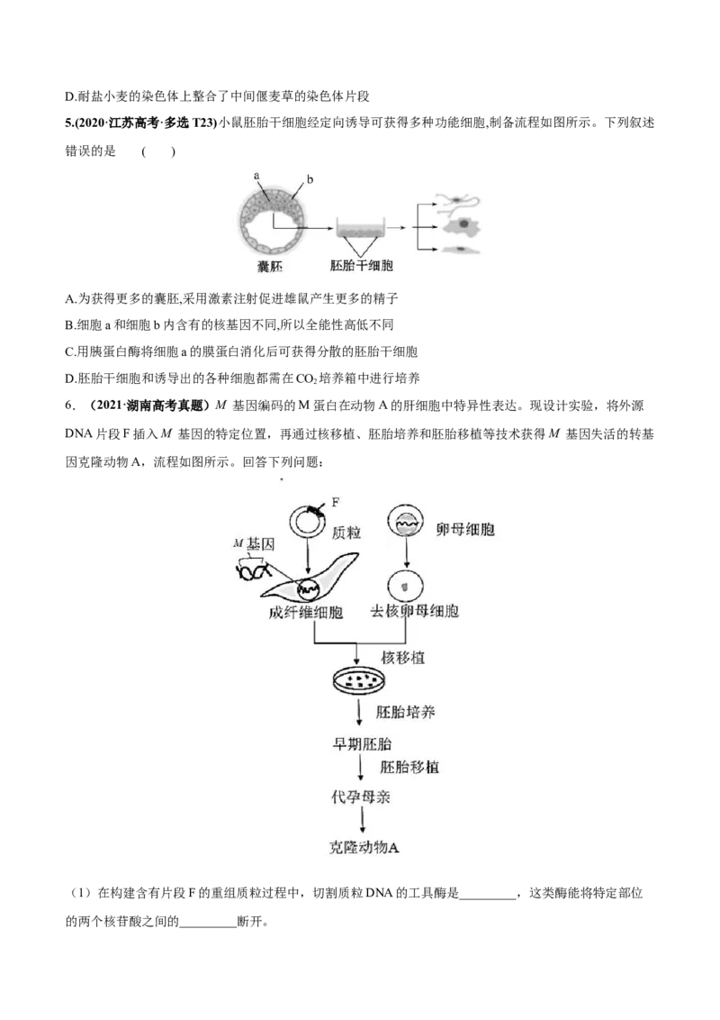 考向27细胞工程-备战2023年高考生物一轮复习考点微专题（全国通用）（原卷版）(1)_通用版（老高考）复习资料_2023年复习资料_一轮复习