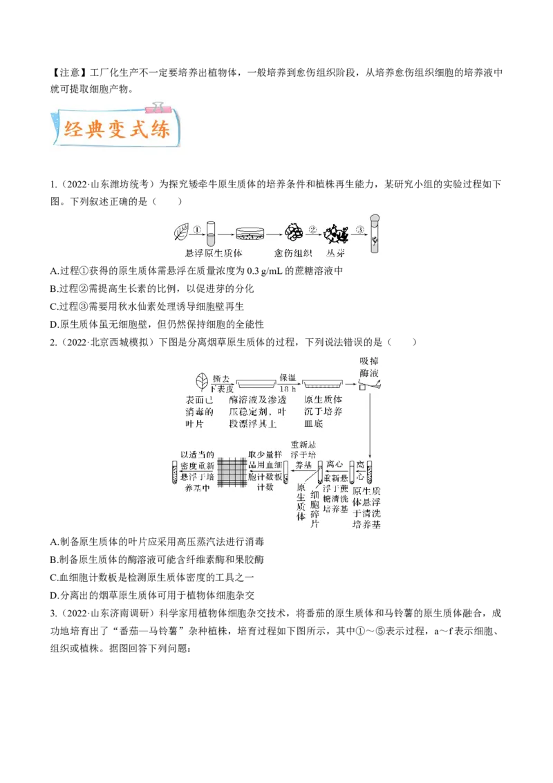 考向27细胞工程-备战2023年高考生物一轮复习考点微专题（全国通用）（原卷版）(1)_通用版（老高考）复习资料_2023年复习资料_一轮复习