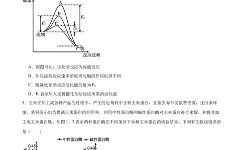 考点通关卷08酶和ATP（原卷版）_2025年新高考资料_一轮复习_2025年高考生物一轮复习考点通关卷（新高考通用）_考点通关卷08酶和ATP-2025年高考生物一轮复习考点通关卷（新高考通用）