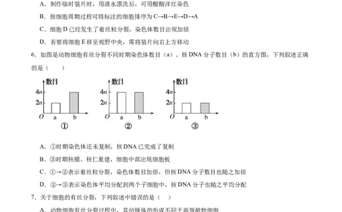 考点通关卷12细胞增殖（原卷版）_新高考复习资料_2024年新高考复习资料_一轮复习资料_完2024年高考生物一轮复习考点通关卷（新高考）_考点通关卷12细胞增殖