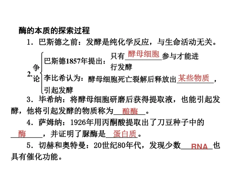 考点精讲4酶和ATP（教案）_新高考复习资料_2022年新高考复习资料_2022届一轮复习讲练结合7.13更新_系列二_考点精讲4酶和ATP