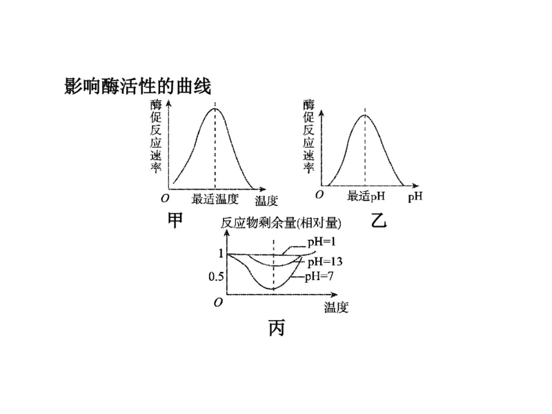 考点精讲4酶和ATP（教案）_新高考复习资料_2022年新高考复习资料_2022届一轮复习讲练结合7.13更新_系列二_考点精讲4酶和ATP