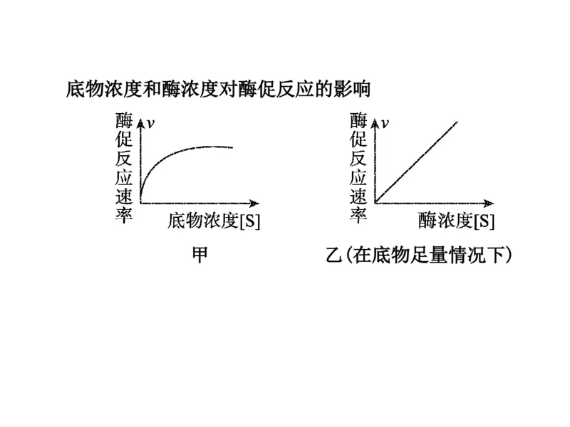 考点精讲4酶和ATP（教案）_新高考复习资料_2022年新高考复习资料_2022届一轮复习讲练结合7.13更新_系列二_考点精讲4酶和ATP