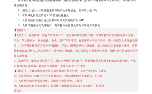 考点通关卷09细胞呼吸（解析版）_2025年新高考资料_一轮复习_2025年高考生物一轮复习考点通关卷（新高考通用）_考点通关卷09细胞呼吸-2025年高考生物一轮复习考点通关卷（新高考通用）