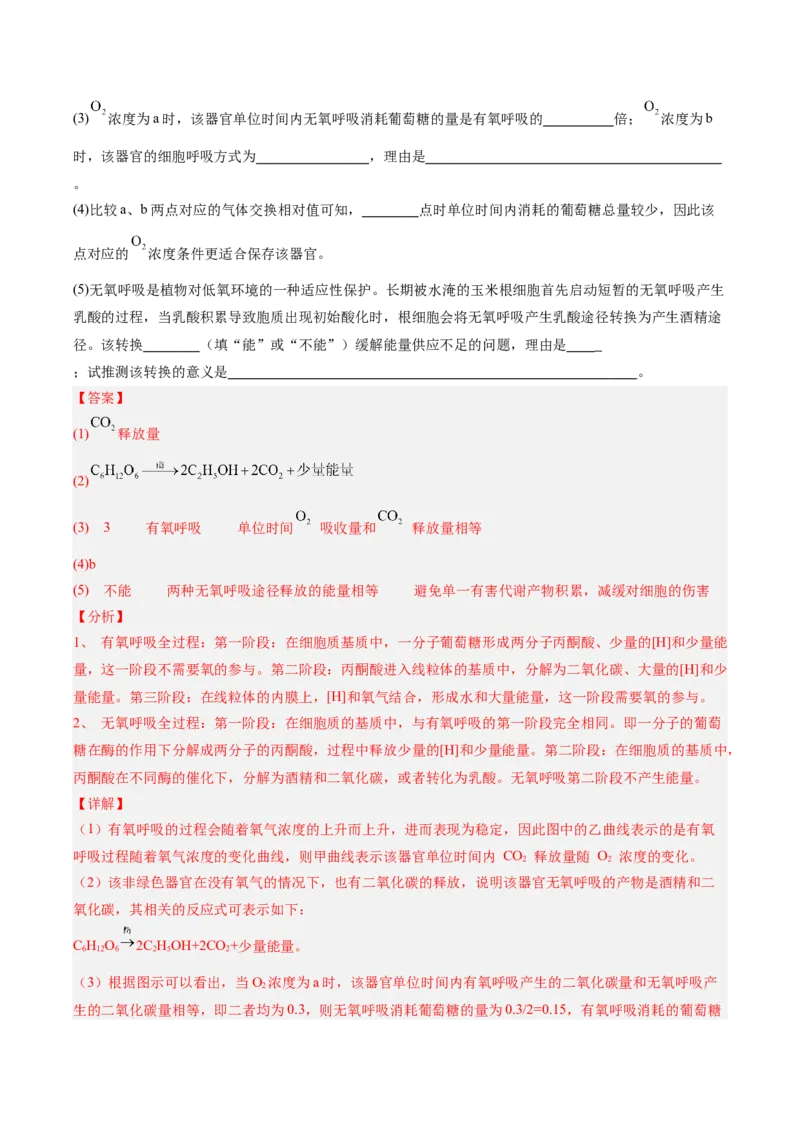 考点通关卷09细胞呼吸（解析版）_2025年新高考资料_一轮复习_2025年高考生物一轮复习考点通关卷（新高考通用）_考点通关卷09细胞呼吸-2025年高考生物一轮复习考点通关卷（新高考通用）