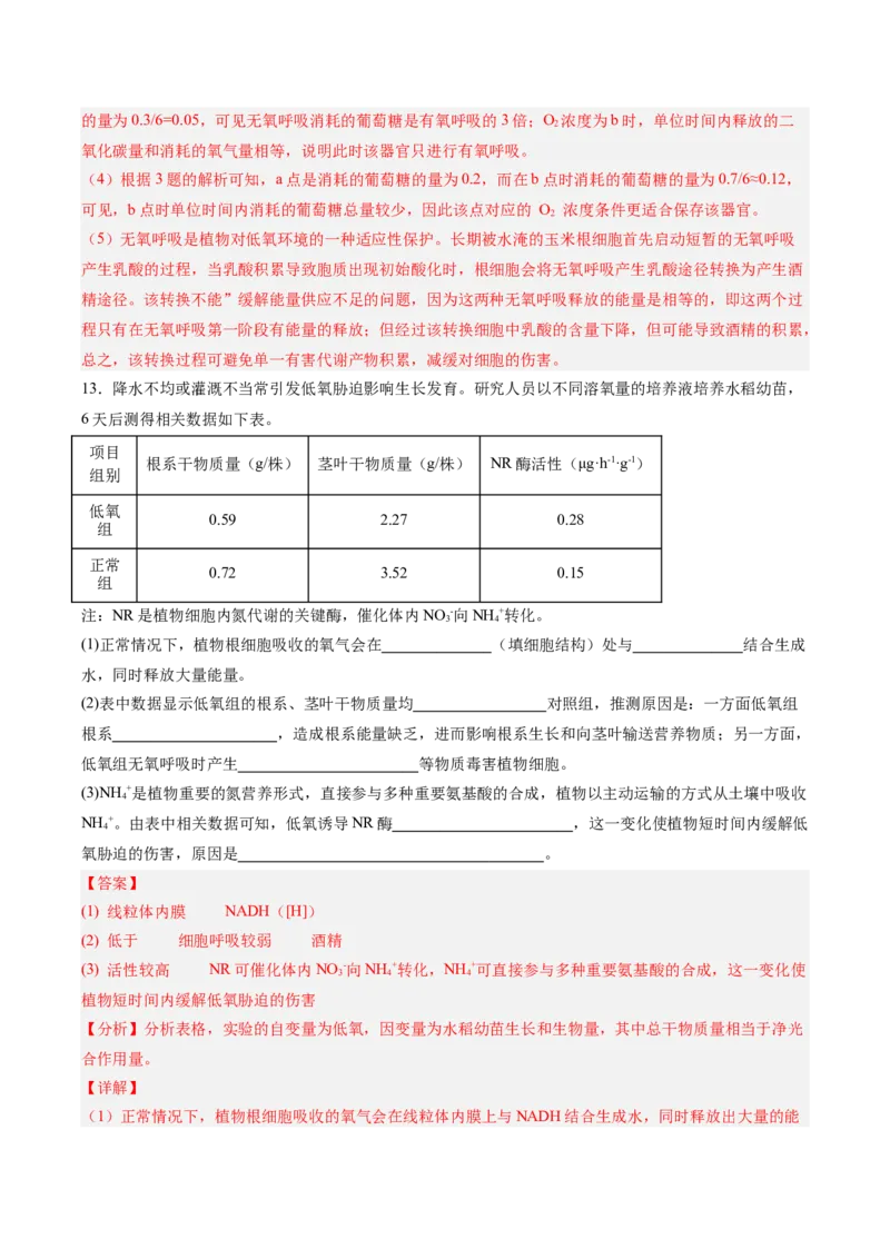 考点通关卷09细胞呼吸（解析版）_2025年新高考资料_一轮复习_2025年高考生物一轮复习考点通关卷（新高考通用）_考点通关卷09细胞呼吸-2025年高考生物一轮复习考点通关卷（新高考通用）