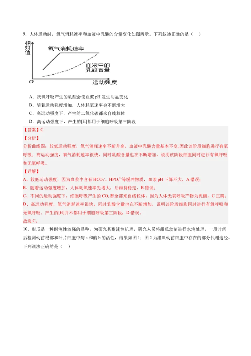 考点通关卷09细胞呼吸（解析版）_2025年新高考资料_一轮复习_2025年高考生物一轮复习考点通关卷（新高考通用）_考点通关卷09细胞呼吸-2025年高考生物一轮复习考点通关卷（新高考通用）