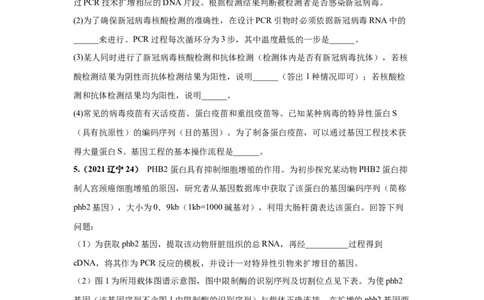 考向28基因工程及生物技术安全性与伦理问题-备战2023年高考生物一轮复习考点微专题（全国通用）（原卷版）_通用版（老高考）复习资料_2023年复习资料_一轮复习