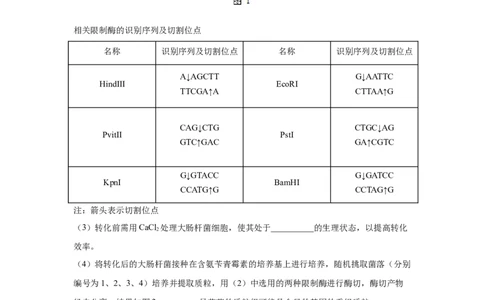 考向28基因工程及生物技术安全性与伦理问题-备战2023年高考生物一轮复习考点微专题（全国通用）（原卷版）_通用版（老高考）复习资料_2023年复习资料_一轮复习