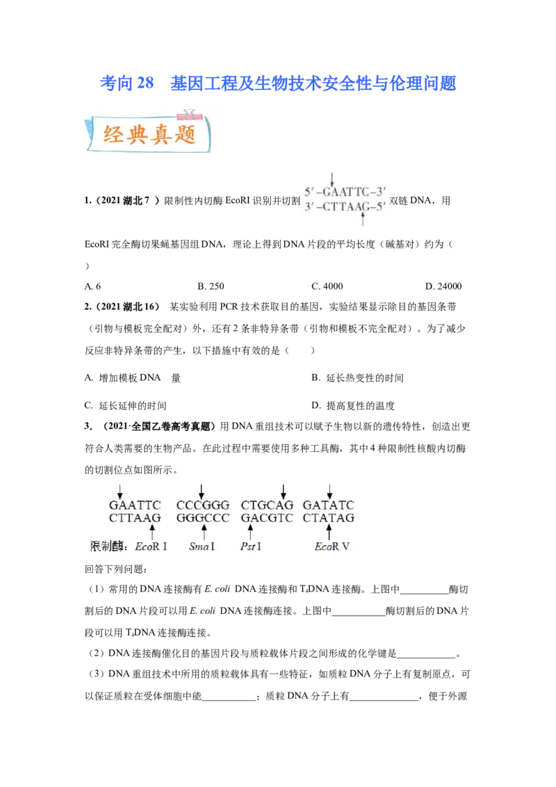 考向28基因工程及生物技术安全性与伦理问题-备战2023年高考生物一轮复习考点微专题（全国通用）（原卷版）_通用版（老高考）复习资料_2023年复习资料_一轮复习