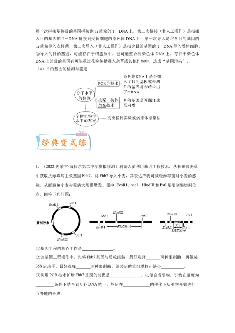考向28基因工程及生物技术安全性与伦理问题-备战2023年高考生物一轮复习考点微专题（全国通用）（原卷版）_通用版（老高考）复习资料_2023年复习资料_一轮复习