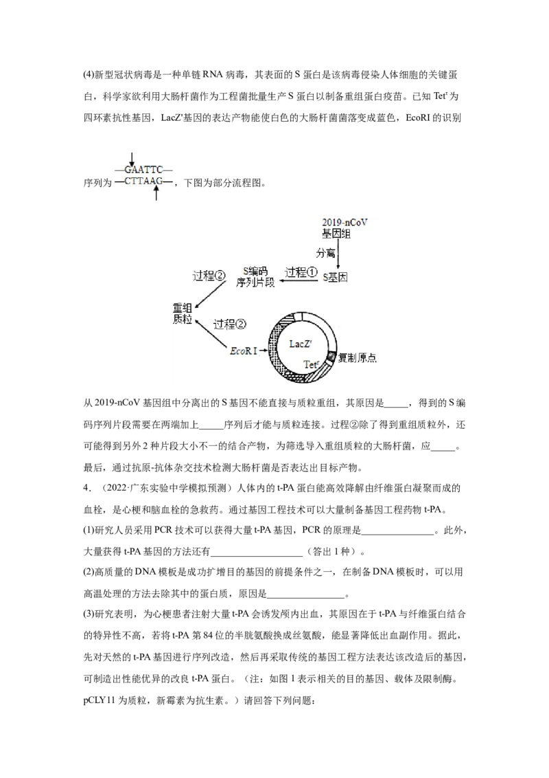 考向28基因工程及生物技术安全性与伦理问题-备战2023年高考生物一轮复习考点微专题（全国通用）（原卷版）_通用版（老高考）复习资料_2023年复习资料_一轮复习