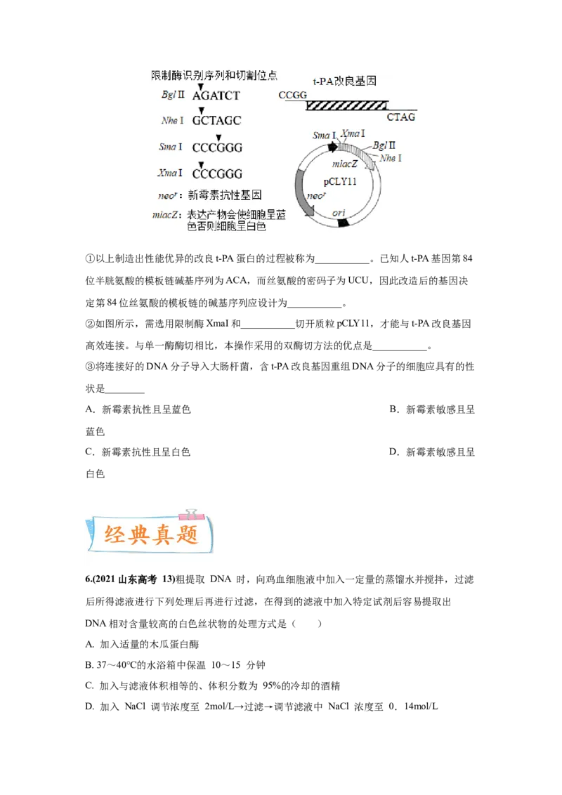 考向28基因工程及生物技术安全性与伦理问题-备战2023年高考生物一轮复习考点微专题（全国通用）（原卷版）_通用版（老高考）复习资料_2023年复习资料_一轮复习