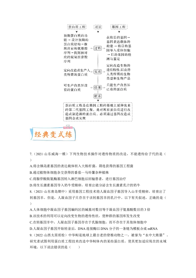 考向28基因工程及生物技术安全性与伦理问题-备战2023年高考生物一轮复习考点微专题（全国通用）（原卷版）_通用版（老高考）复习资料_2023年复习资料_一轮复习