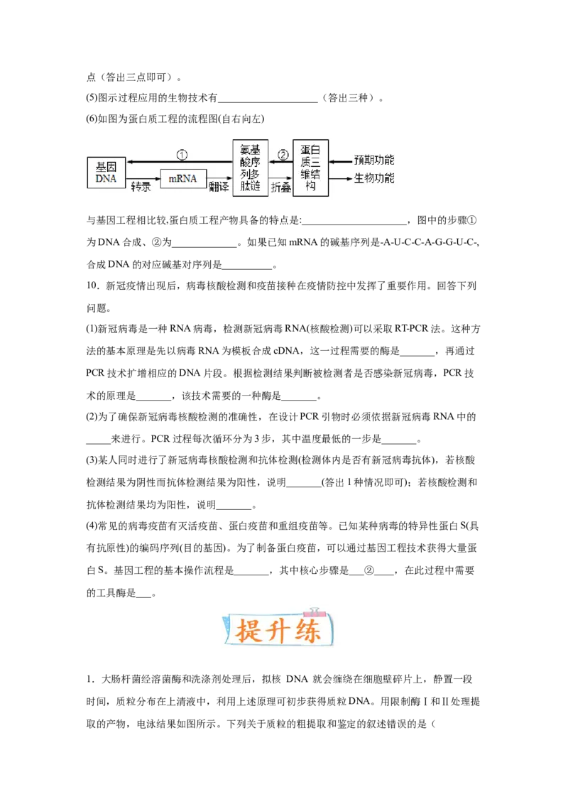 考向28基因工程及生物技术安全性与伦理问题-备战2023年高考生物一轮复习考点微专题（全国通用）（原卷版）_通用版（老高考）复习资料_2023年复习资料_一轮复习