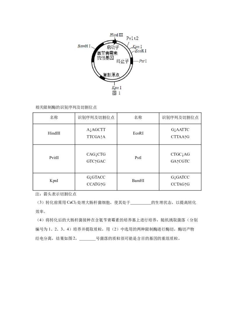 考向28基因工程及生物技术安全性与伦理问题-备战2023年高考生物一轮复习考点微专题（全国通用）（原卷版）_通用版（老高考）复习资料_2023年复习资料_一轮复习