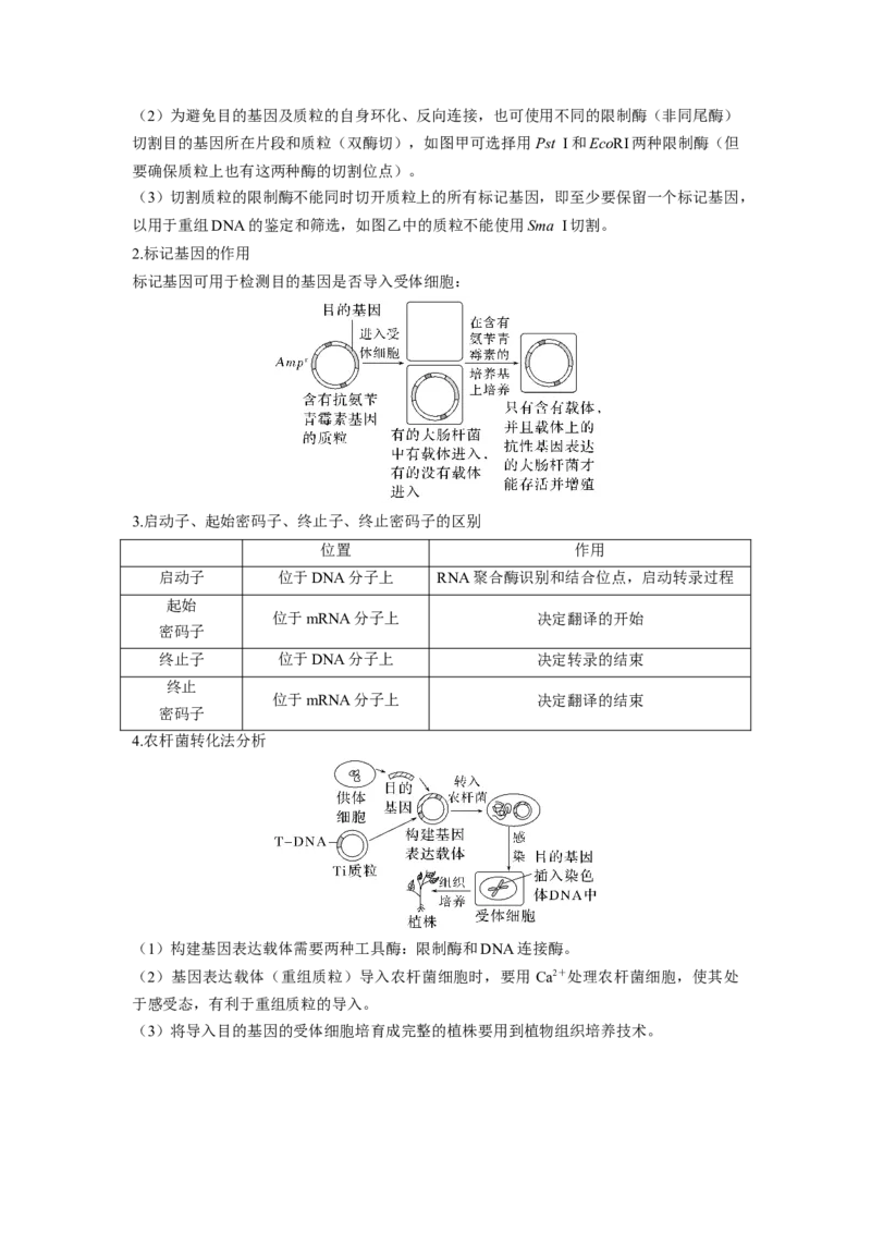 考向28基因工程及生物技术安全性与伦理问题-备战2023年高考生物一轮复习考点微专题（全国通用）（原卷版）_通用版（老高考）复习资料_2023年复习资料_一轮复习
