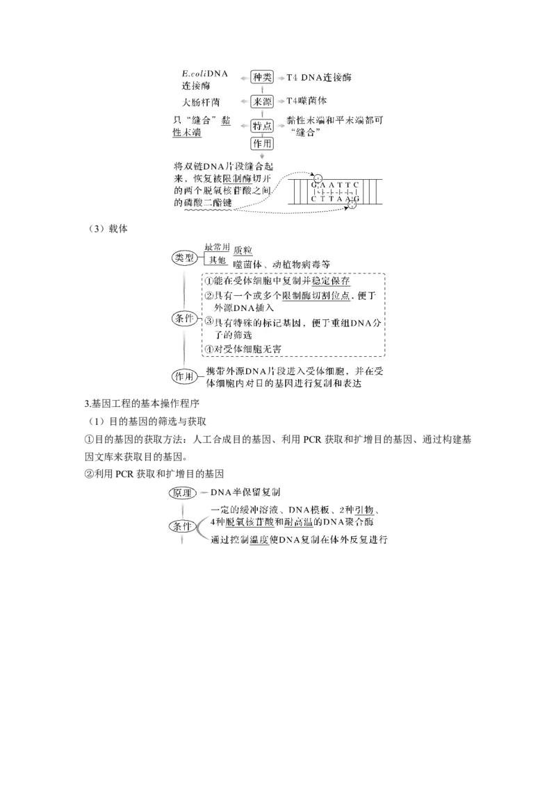 考向28基因工程及生物技术安全性与伦理问题-备战2023年高考生物一轮复习考点微专题（全国通用）（原卷版）_通用版（老高考）复习资料_2023年复习资料_一轮复习