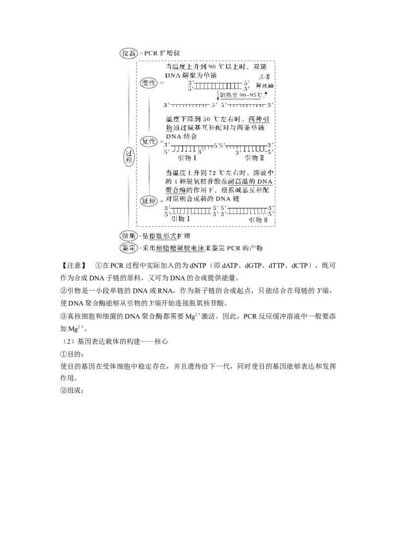 考向28基因工程及生物技术安全性与伦理问题-备战2023年高考生物一轮复习考点微专题（全国通用）（原卷版）_通用版（老高考）复习资料_2023年复习资料_一轮复习
