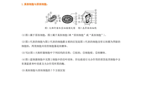 考点02细胞的多样性和统一性（原卷版）_通用版（老高考）复习资料_2023年复习资料_一轮复习_2023年高考生物一轮复习讲练测（全国通用）