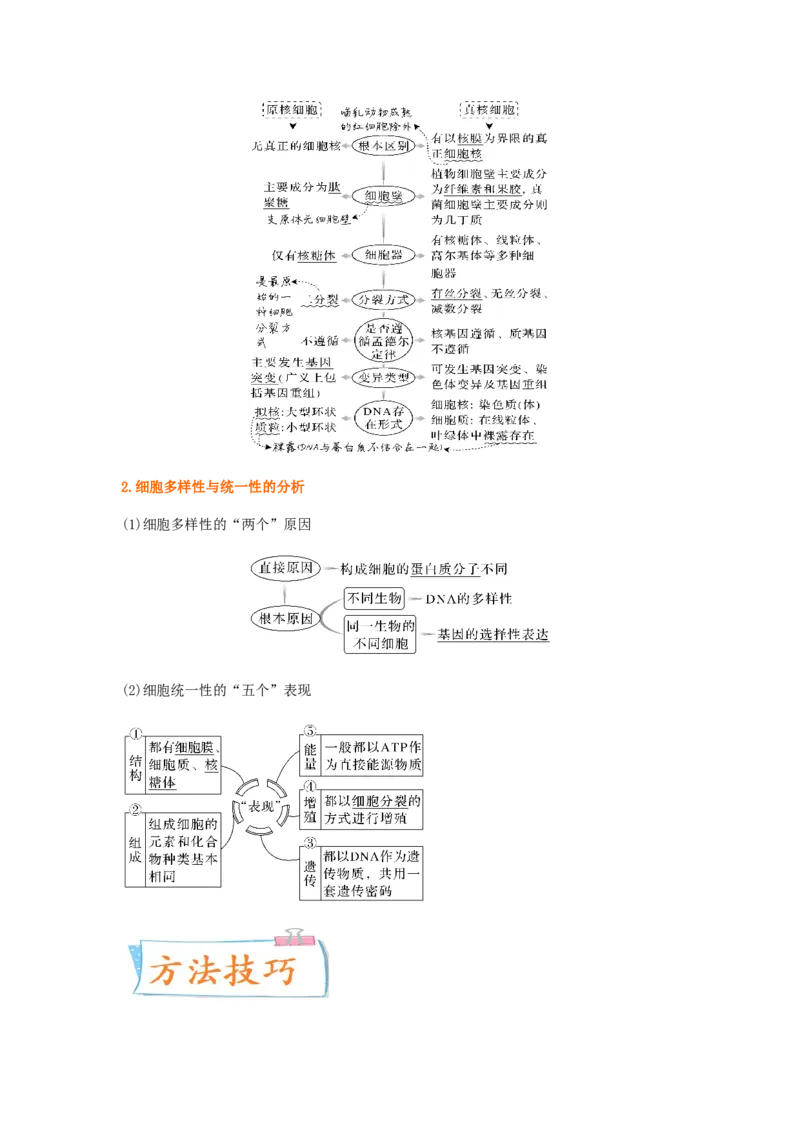 考点02细胞的多样性和统一性（原卷版）_通用版（老高考）复习资料_2023年复习资料_一轮复习_2023年高考生物一轮复习讲练测（全国通用）
