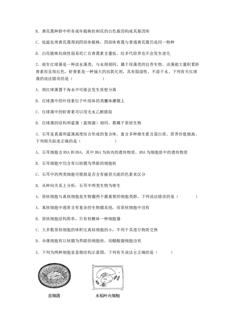 考点02细胞的多样性和统一性（原卷版）_通用版（老高考）复习资料_2023年复习资料_一轮复习_2023年高考生物一轮复习讲练测（全国通用）
