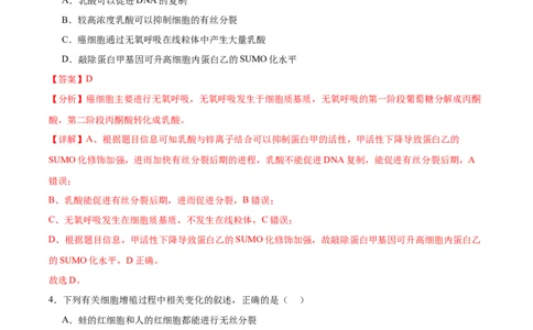 考点通关卷12细胞增殖（解析版）_新高考复习资料_2024年新高考复习资料_一轮复习资料_完2024年高考生物一轮复习考点通关卷（新高考）_考点通关卷12细胞增殖