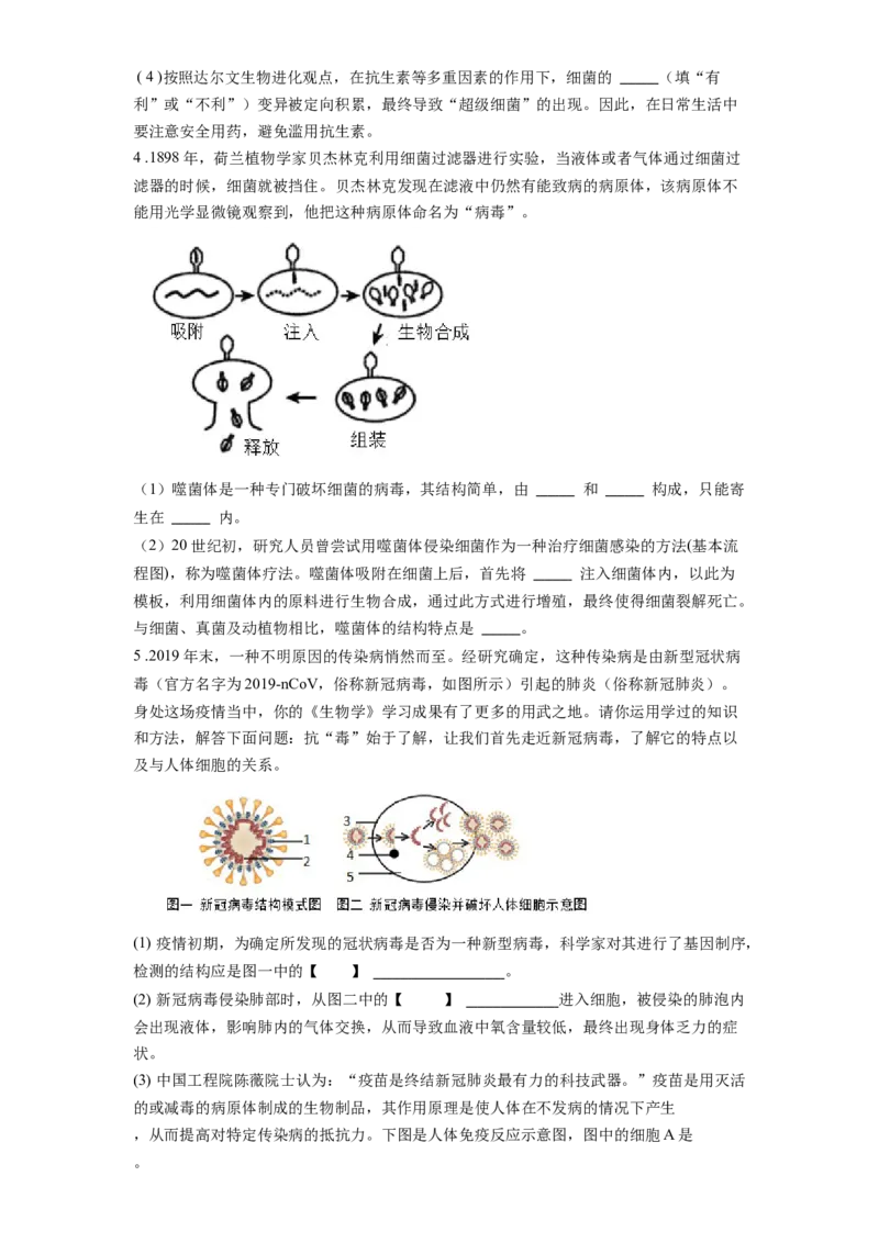 专题19生物圈中的微生物（原卷版）_6生物中考复习_2024年中考复习资料_一轮复习资料_完精准复习课件精讲ppt+习题精练备战2024年中考生物一轮复习全考点通关_配套练习