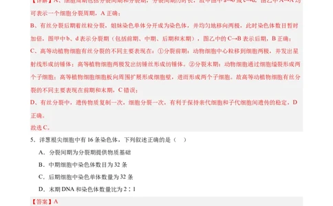 考点通关卷12细胞增殖（解析版）_2025年新高考资料_一轮复习_2025年高考生物一轮复习考点通关卷（新高考通用）_考点通关卷12细胞增殖-2025年高考生物一轮复习考点通关卷（新高考通用）