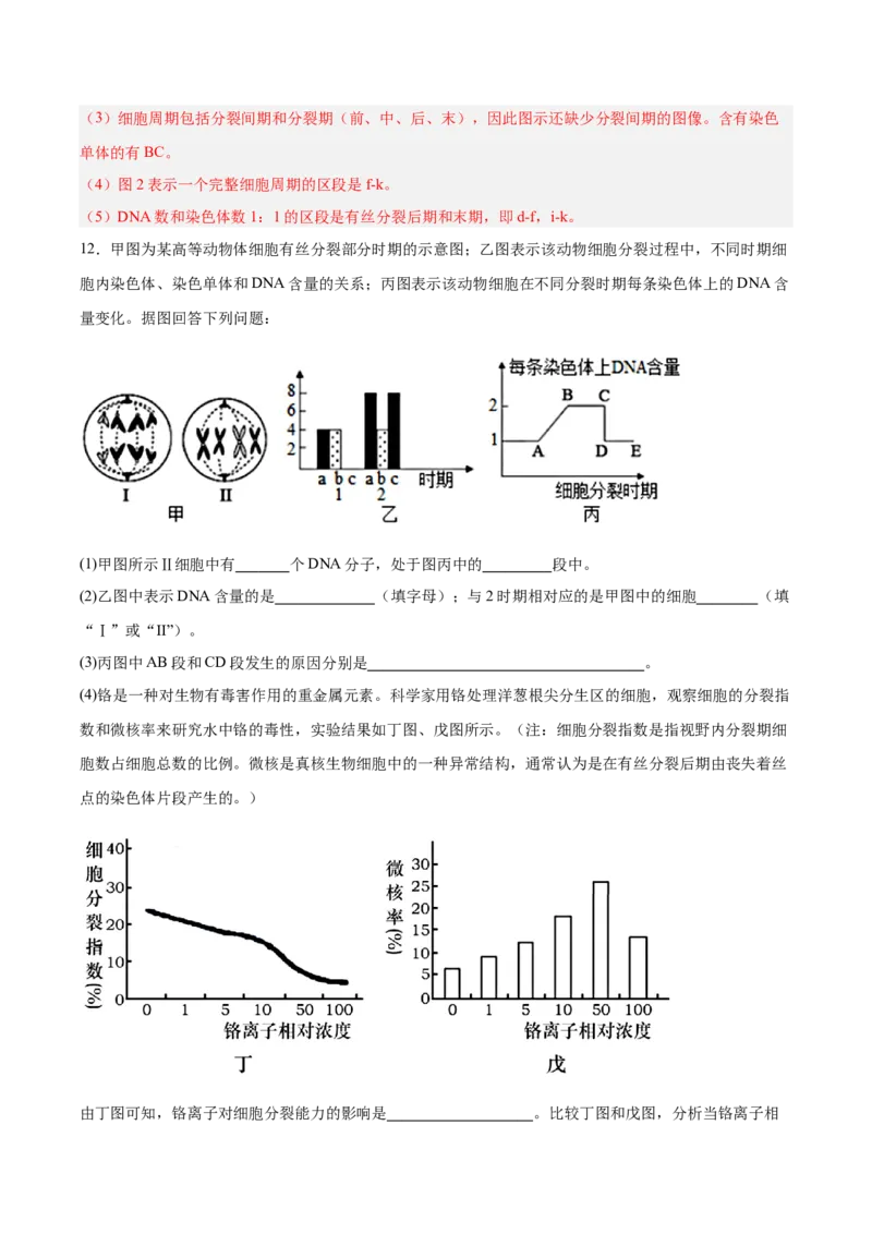 考点通关卷12细胞增殖（解析版）_2025年新高考资料_一轮复习_2025年高考生物一轮复习考点通关卷（新高考通用）_考点通关卷12细胞增殖-2025年高考生物一轮复习考点通关卷（新高考通用）