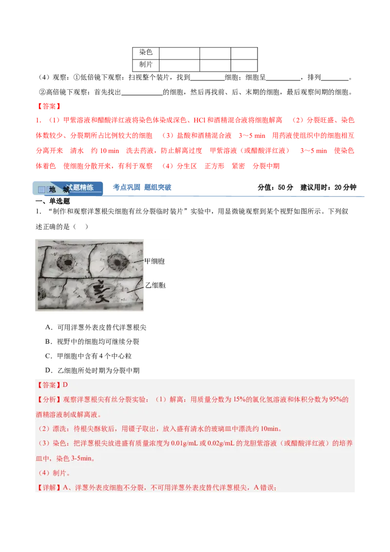 考点通关卷12细胞增殖（解析版）_2025年新高考资料_一轮复习_2025年高考生物一轮复习考点通关卷（新高考通用）_考点通关卷12细胞增殖-2025年高考生物一轮复习考点通关卷（新高考通用）