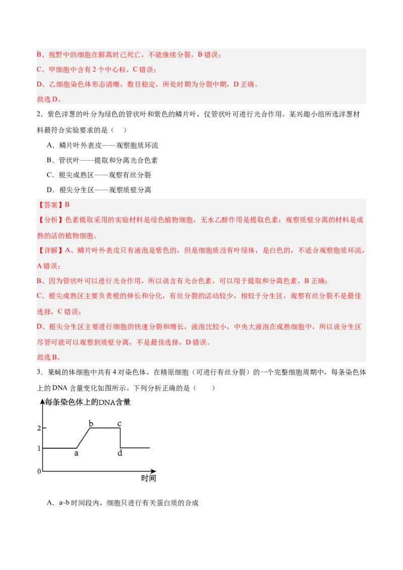 考点通关卷12细胞增殖（解析版）_2025年新高考资料_一轮复习_2025年高考生物一轮复习考点通关卷（新高考通用）_考点通关卷12细胞增殖-2025年高考生物一轮复习考点通关卷（新高考通用）