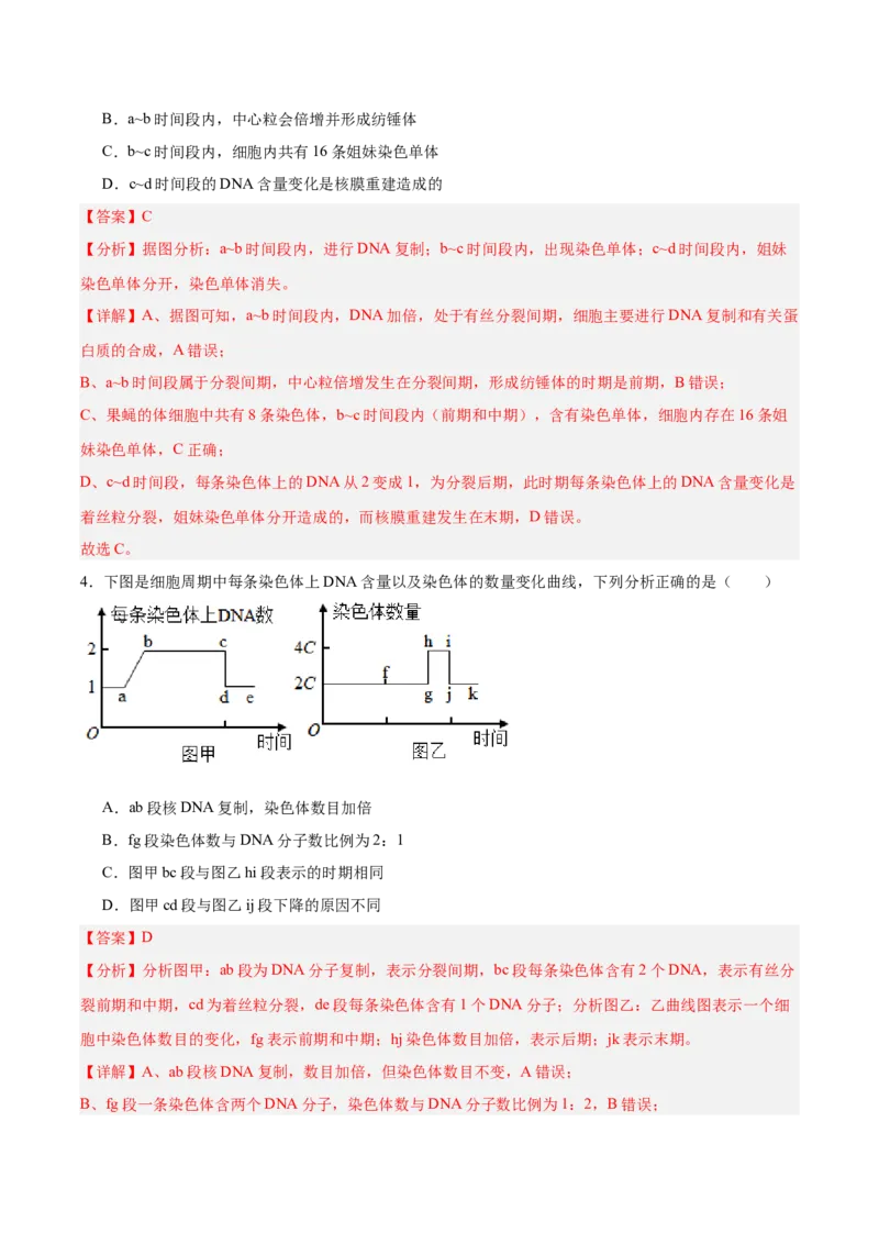 考点通关卷12细胞增殖（解析版）_2025年新高考资料_一轮复习_2025年高考生物一轮复习考点通关卷（新高考通用）_考点通关卷12细胞增殖-2025年高考生物一轮复习考点通关卷（新高考通用）